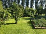 3-jardin (2)